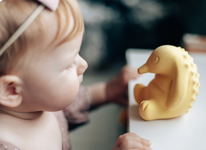 pipa the echidna yellow bath teething toy for baby sydney australia