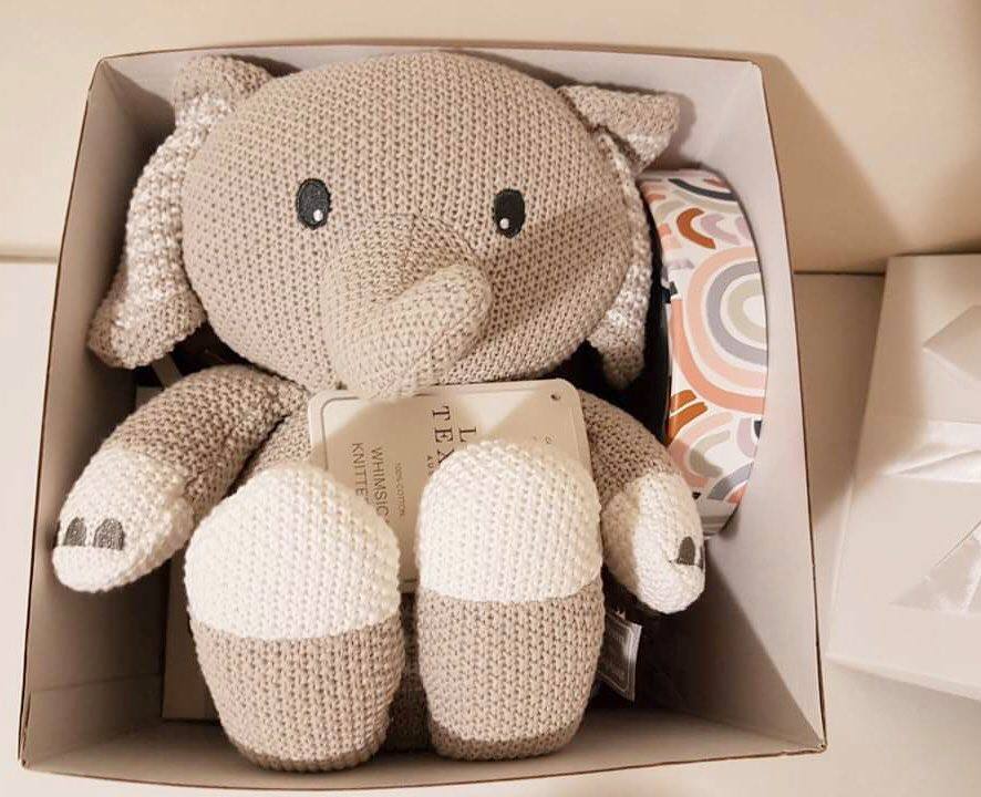 Baby shower in a box gift for new baby stuffed toy and milestone cards